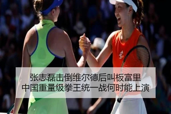 张志磊击倒维尔德后叫板富里 中国重量级拳王统一战何时能上演